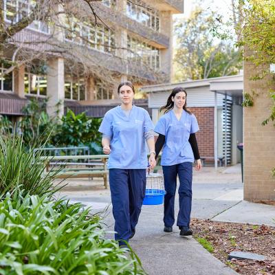 Two animal studies students walking together at Bentley campus